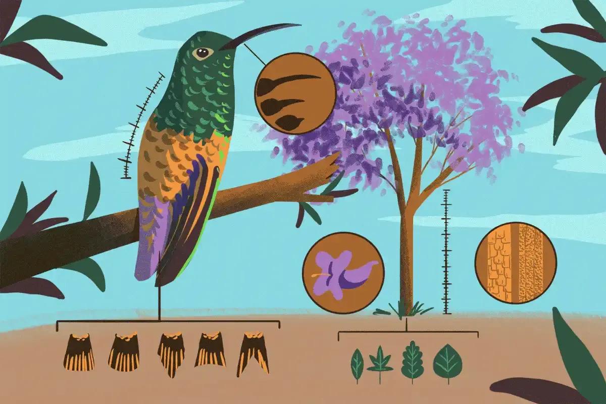 Guía para identificar árboles y aves de CDMX: conoce a las especies con las que convivimos