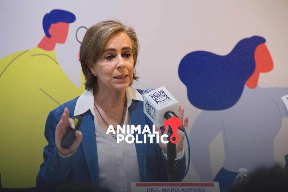 Presidencia de la República difunde expediente con datos personales de María Amparo Casar