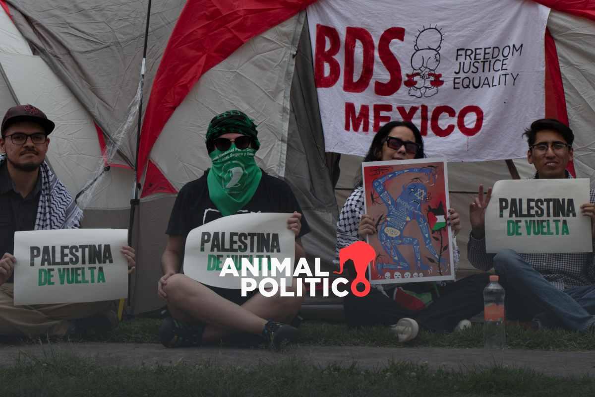 Estudiantes de la UNAM instalan frente a Rectoría campamento en solidaridad con Palestina