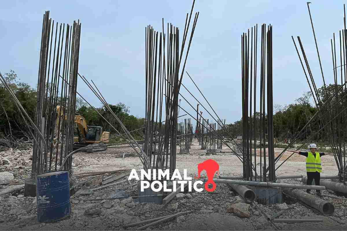Tramo 5 Sur del Tren Maya: Construcción sigue pese a denuncias y orden de un juez para frenar la obra