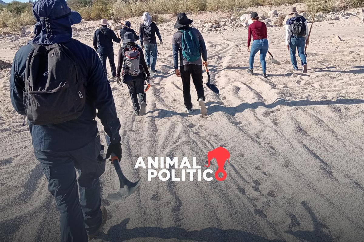 Colectivo localiza varias fosas clandestinas con diez cuerpos en La Paz, Baja California Sur