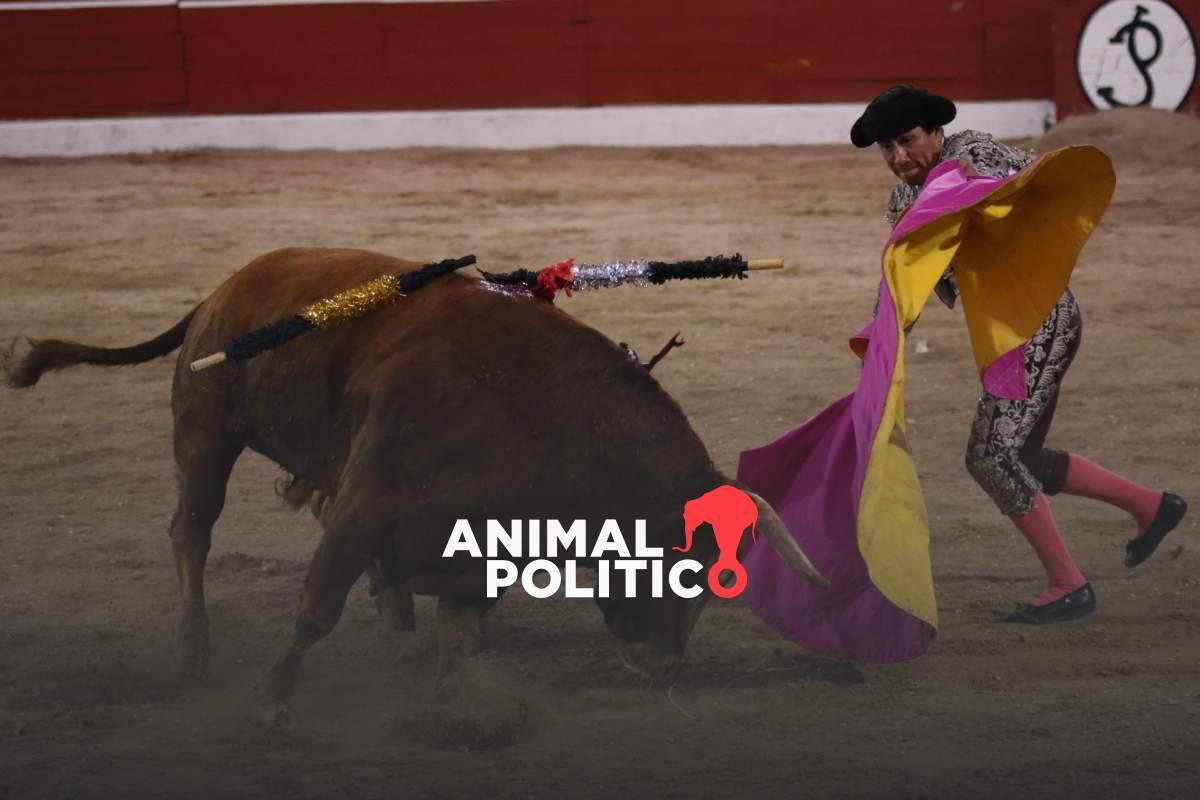 Tribunal revoca suspensión provisional que impedía corridas de toros en la Plaza México
