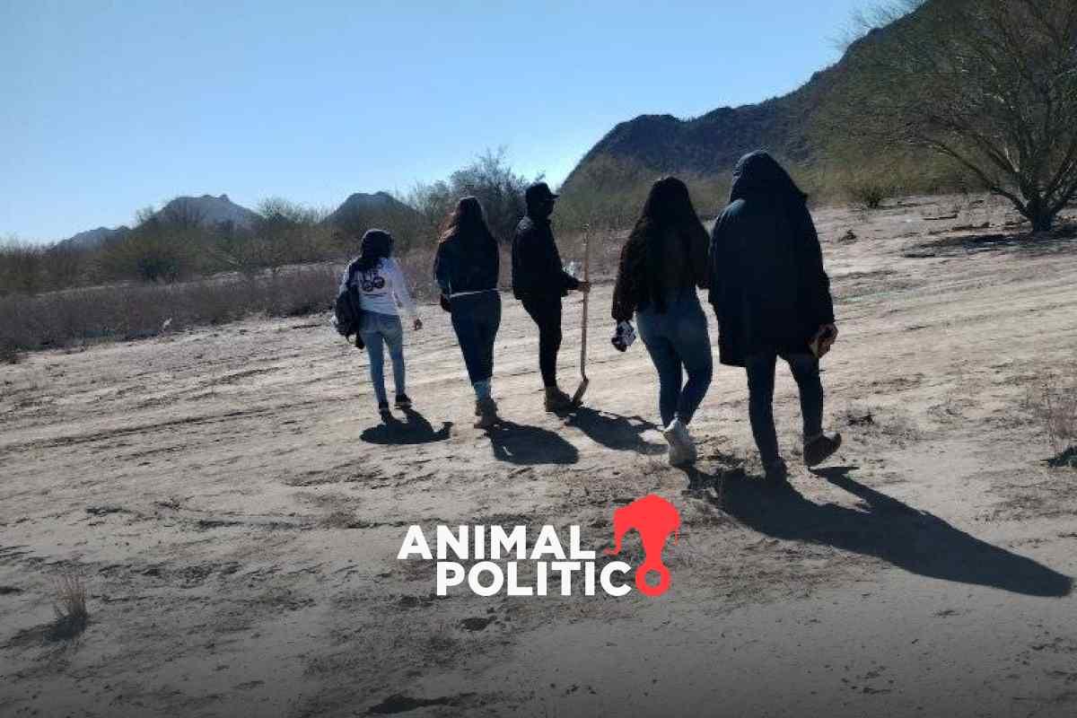 Colectivos encuentran al menos 50 cuerpos en fosas clandestinas en El Choyudo, Sonora