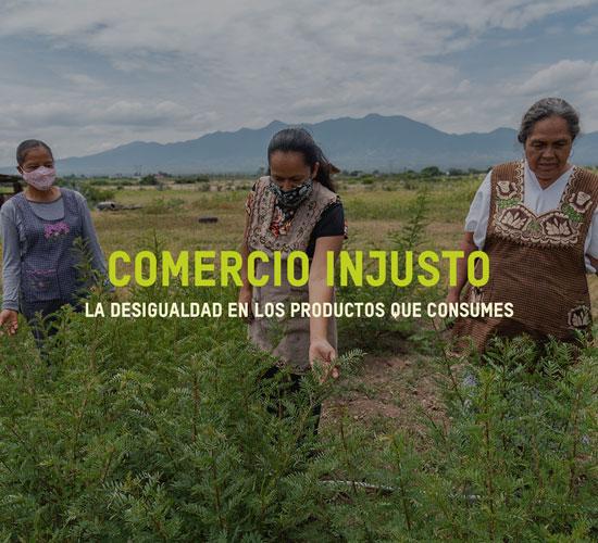 Imagen Comercio injusto: la desigualdad en los productos que consumes