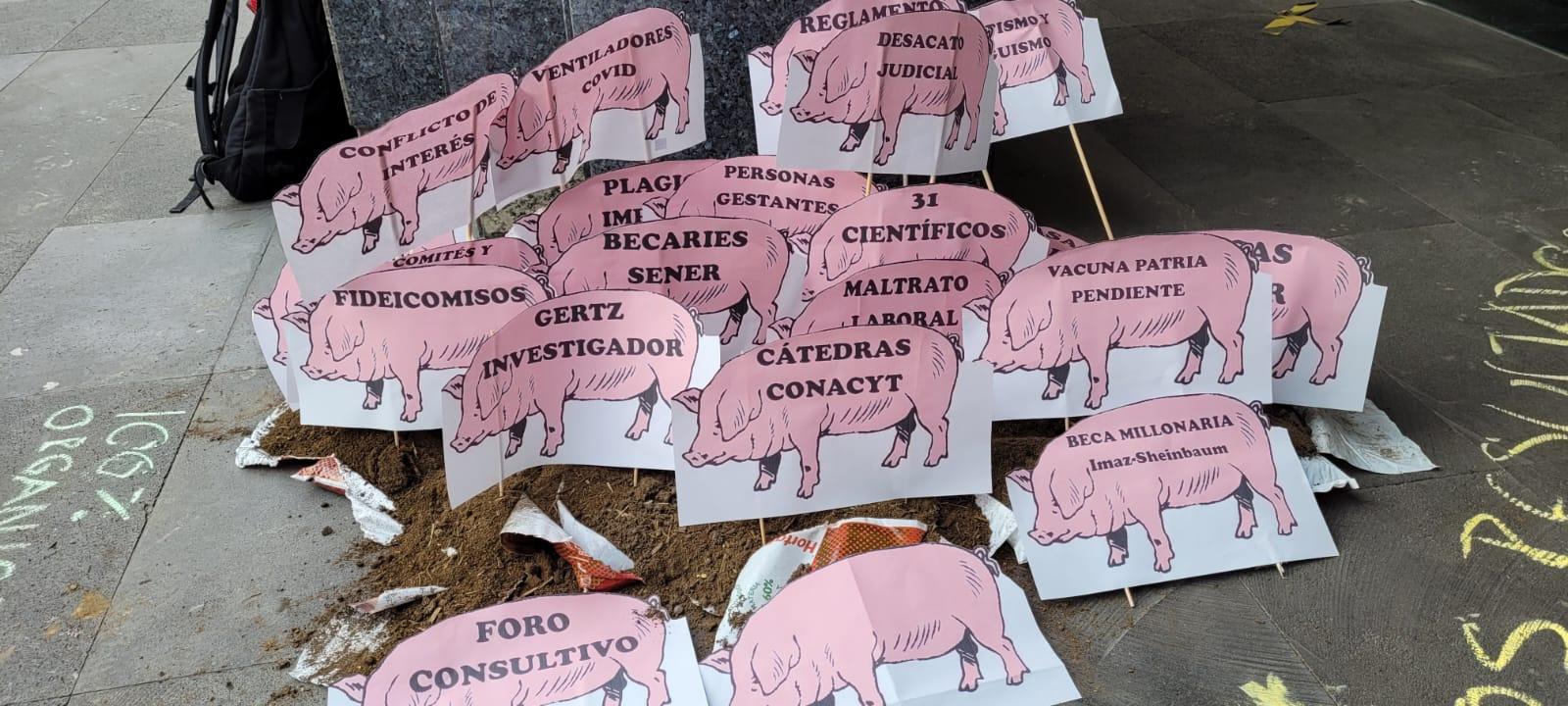 El director debe publicar acta de nombramiento: Buylla a estudiantes del CIDE