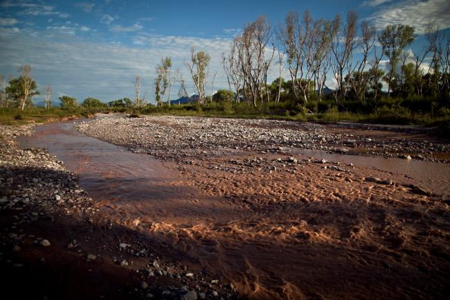 Exentan del pago de impuestos a afectados por Río Sonora
