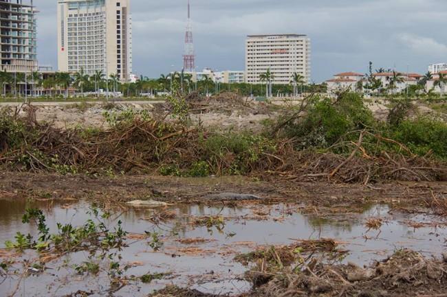 Otro punto a favor de Tajamar: Vence el permiso de Fonatur para construir