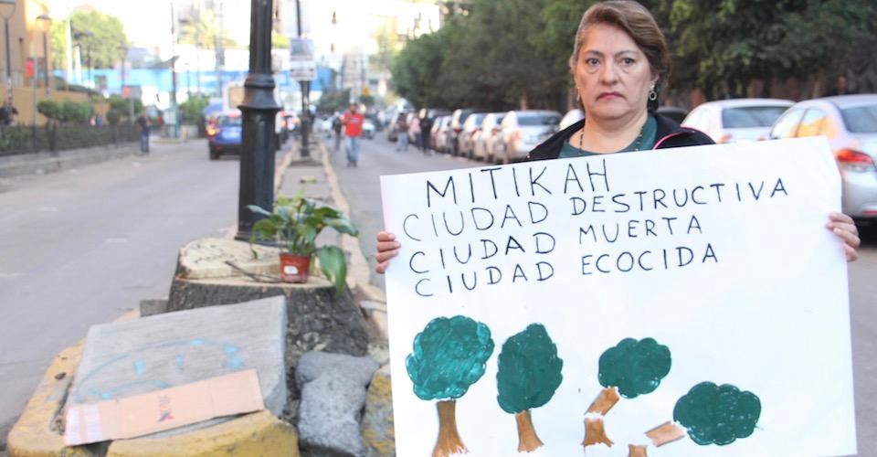 Vecinos del Pueblo de Xoco narran tala irregular de árboles