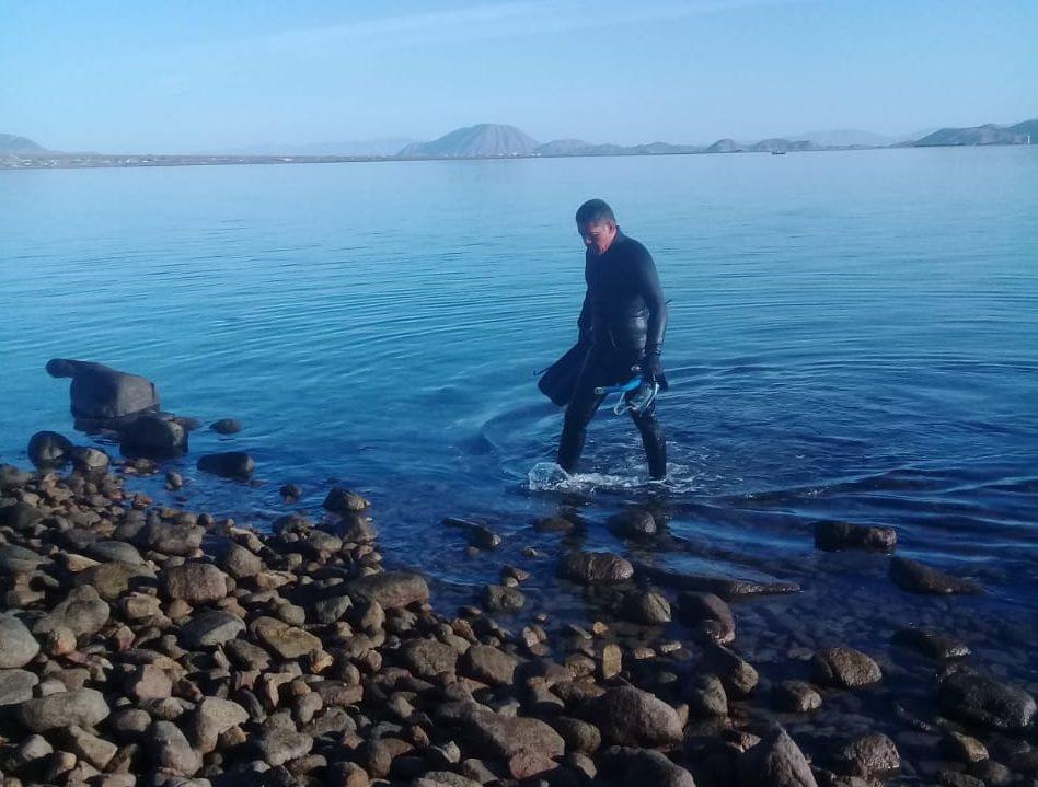 De buzo a defensor del pulpo en la península de Baja California