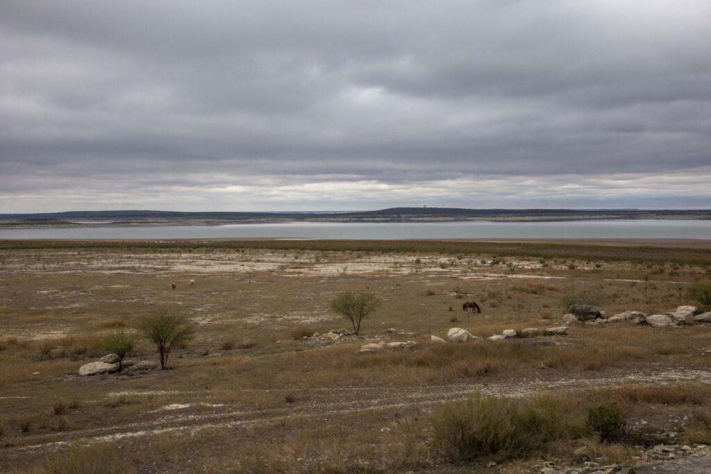 Desalar el agua del mar: propuesta ante la sequía que considera NL, aunque con impacto ambiental