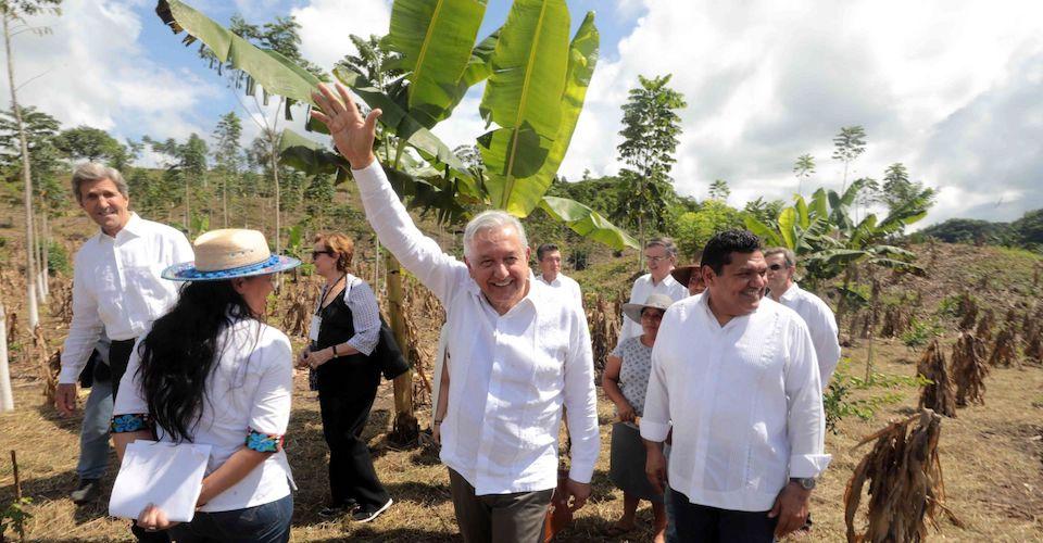 Organizaciones acusan desmantelamiento ambiental con propuesta de AMLO de desaparecer institutos