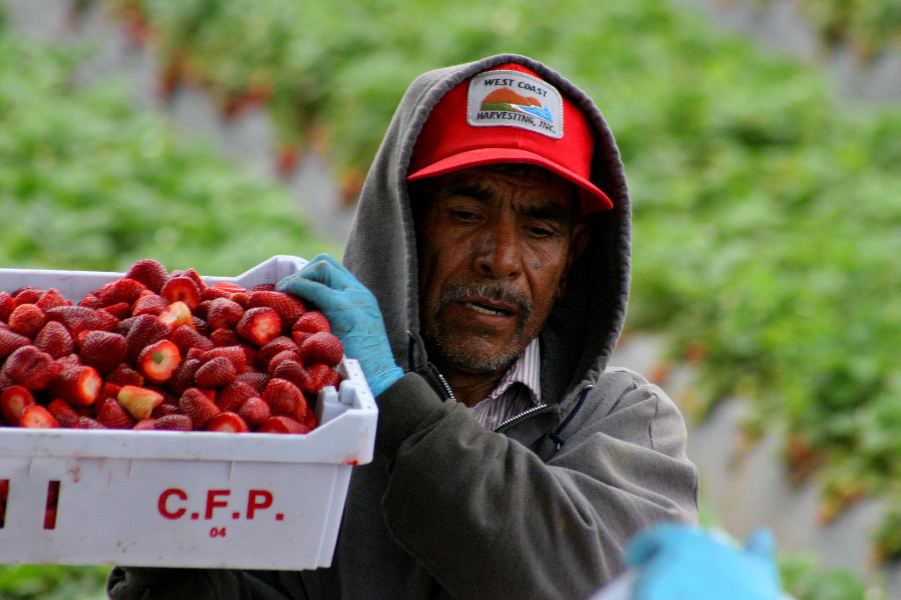 Detienen a uno de los reclutadores de ‘Chamba México’