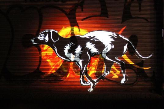 Contra la impunidad, comunicadores lanzan la asociación Ojos de Perro