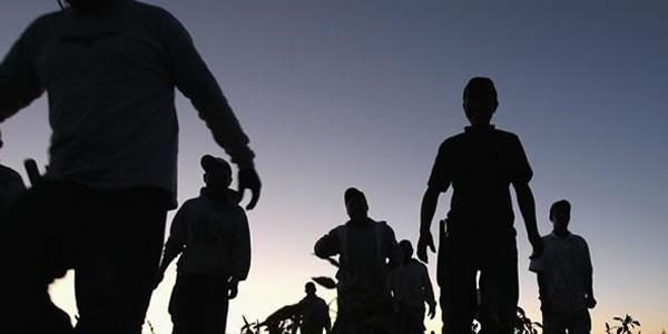 Piden en EU cárcel para <i>abuelita pollera</i>