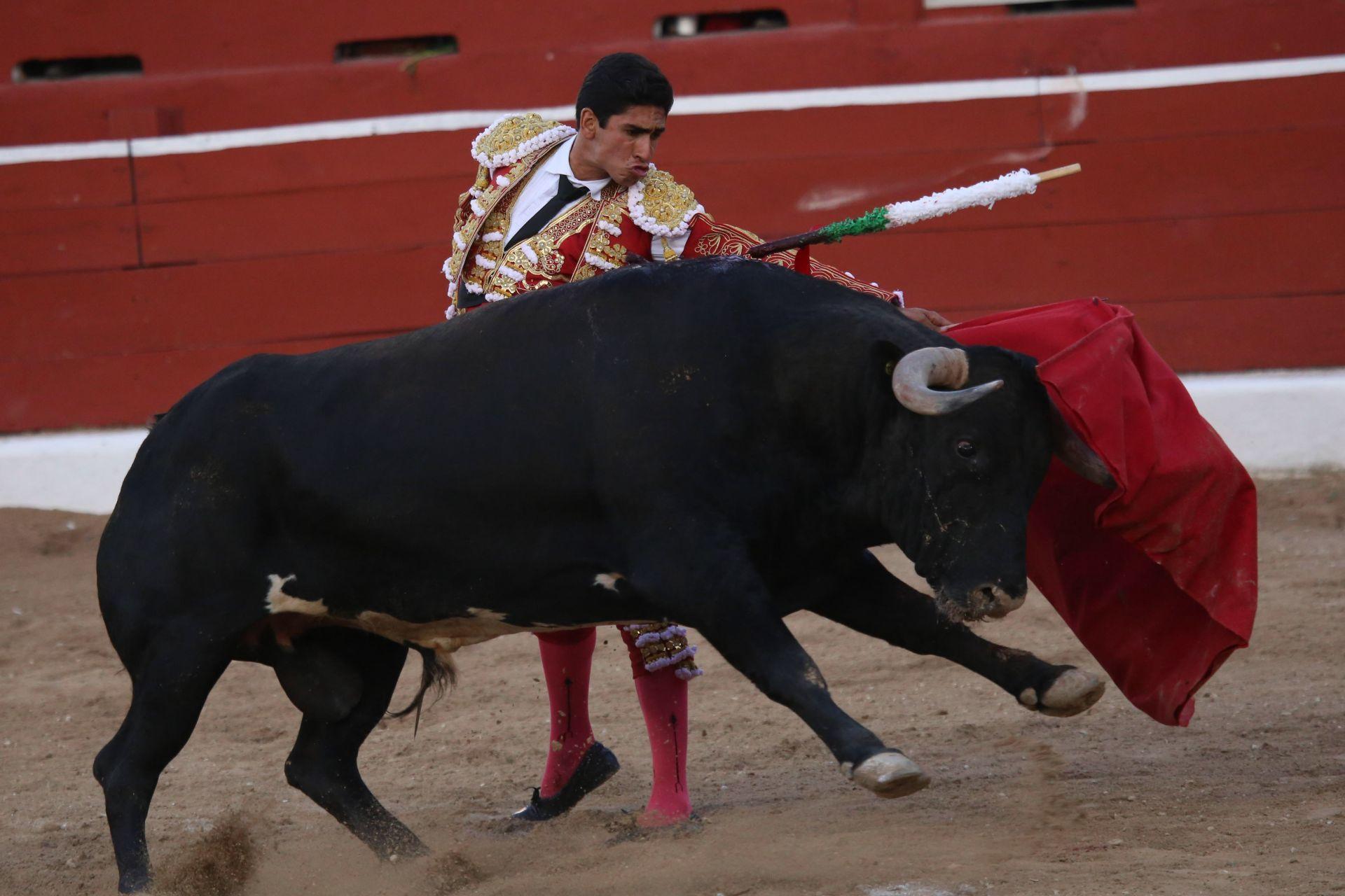 Corridas de toros no pueden ser patrimonio cultural: SCJN