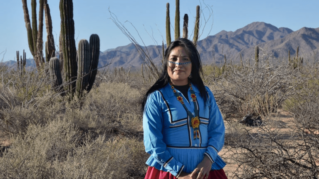 Mujeres seri quieren una universidad, no más megaproyectos, narcos, ni marinos en sus tierras