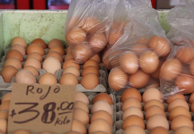 Profeco publica en internet menú sin huevo para familias de bajos recursos