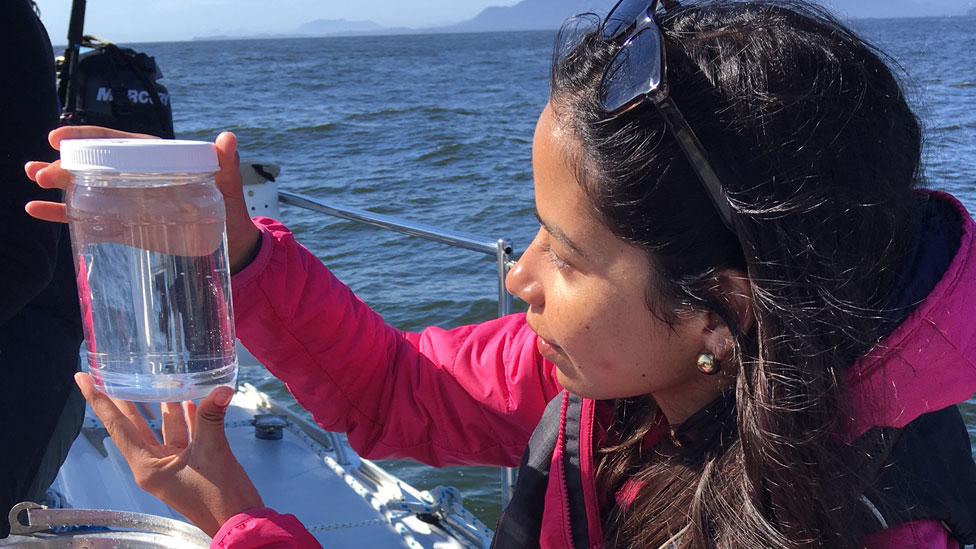 La bióloga hondureña que viajó a través de aguas llenas de plástico en el Pacífico y regresó consternada
