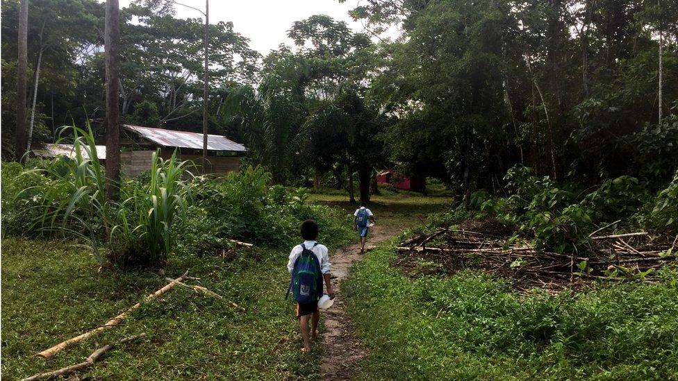 La que carretera que cambió (para bien y para mal) un remoto rincón de la Amazonía en Perú