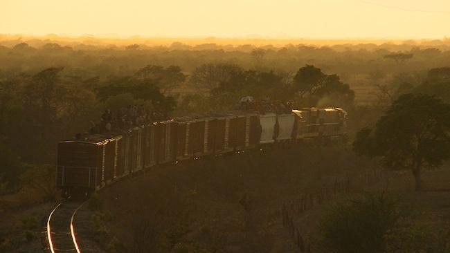 No te pierdas <i>¿Quién es Dayani Cristal?</i> de Gael García