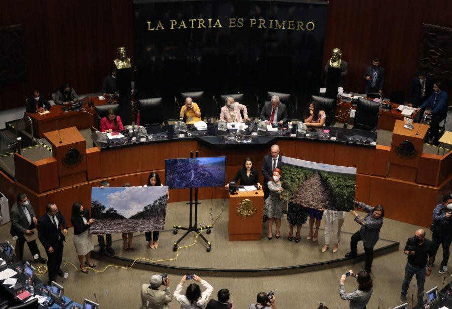 Morena frena intentos por llamar a comparecer a funcionarios para que expliquen las implicaciones del Tren Maya