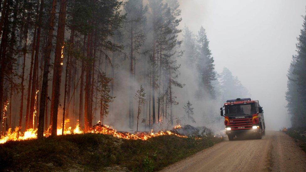 Las impresionantes imágenes que deja la ola de calor que afecta al norte de Europa