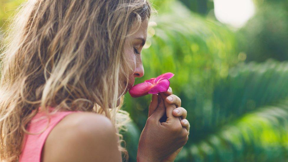 La magdalena de Proust: por qué hay olores y sabores que nos traen recuerdos que teníamos olvidados