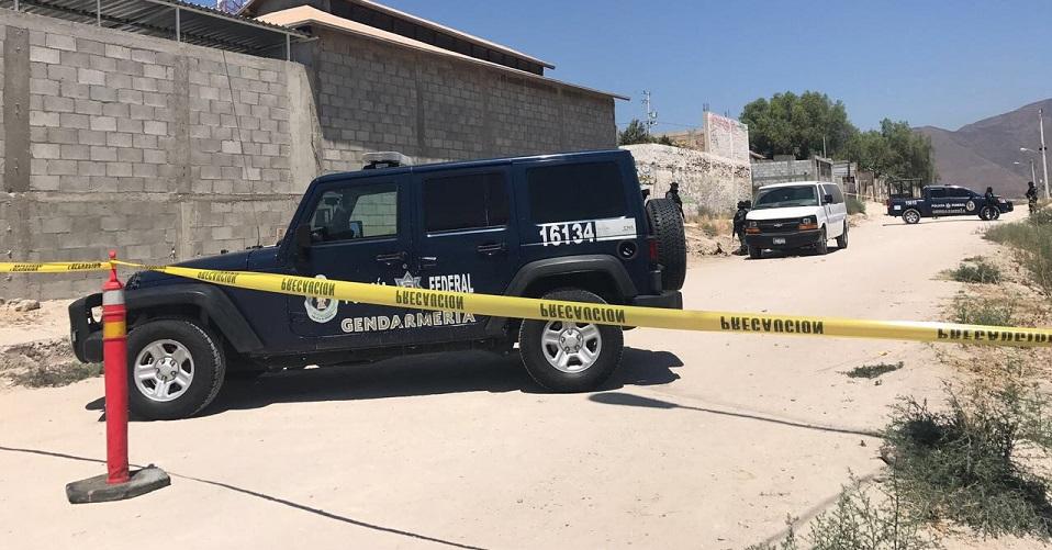 Hallan en Tijuana una fosa con 300 restos óseos; los trasladan a la CDMX para su análisis