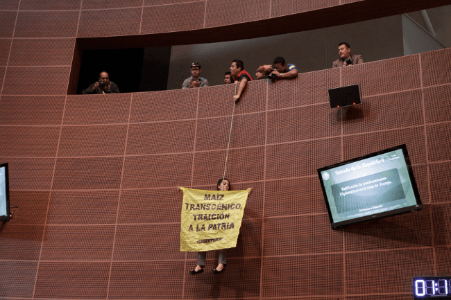 Activista de Greenpeace protesta “por los aires” en el Senado