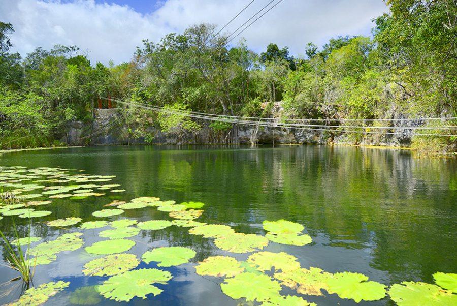 El nuevo trazo del Tren Maya amenaza los cenotes de Quintana Roo: peligran ríos subterráneos, especies y el Mar Caribe