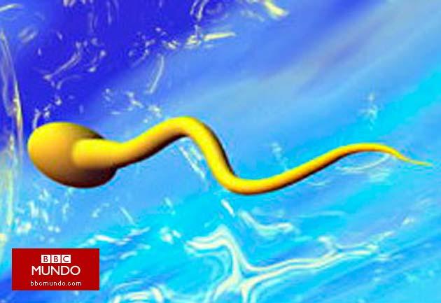 Crean gel anticonceptivo masculino que se aplica en la piel