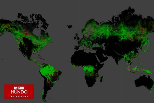 ¿Cuáles son los países más afectados por la deforestación?