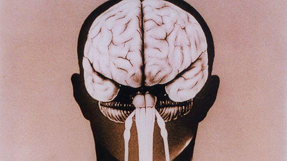 <i>En busca de la memoria</i> y la lucha contra el Alzheimer