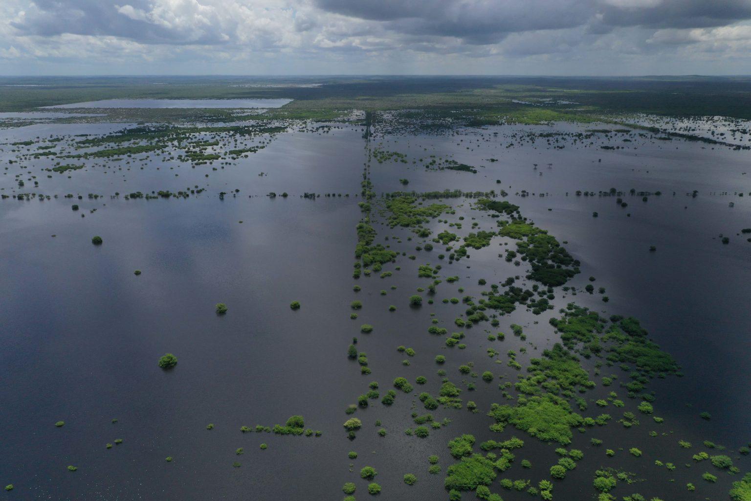 México: esto sucede cuando se tumba selva en el territorio maya