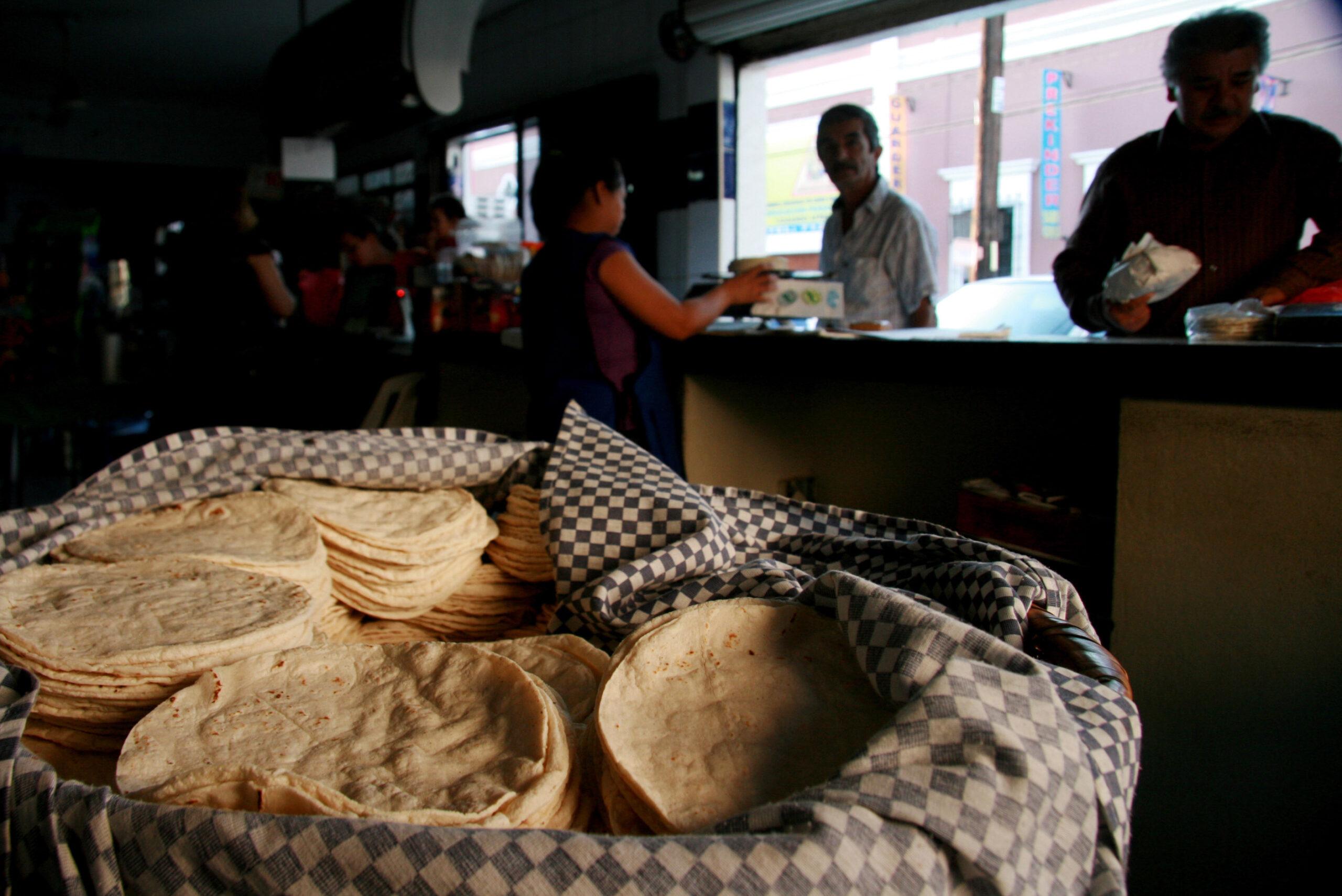 La tortilla aumentó 400% su precio en diez años: UNAM