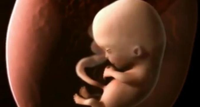 Cómo se forma la vida en 14 minutos