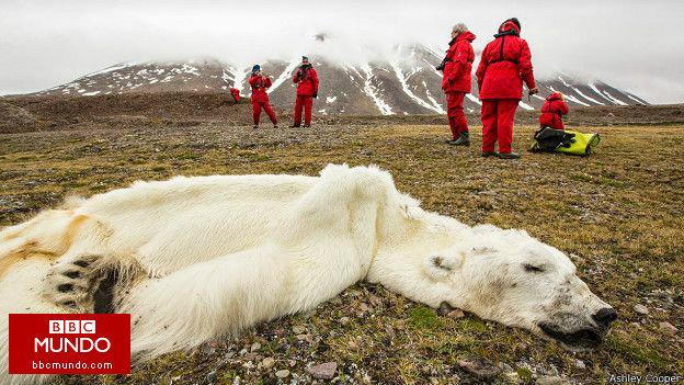 Las perturbadoras imágenes que muestran el efecto de los humanos en la Tierra