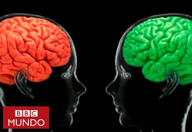 Hallan el lugar exacto del cerebro donde se origina el amor