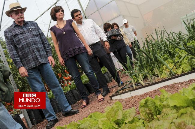 DF, entre 10 ciudades de AL donde florece agricultura urbana