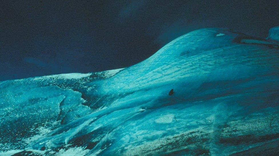 Revelan el misterio (y la importancia) de los icebergs verdes de la Antártica