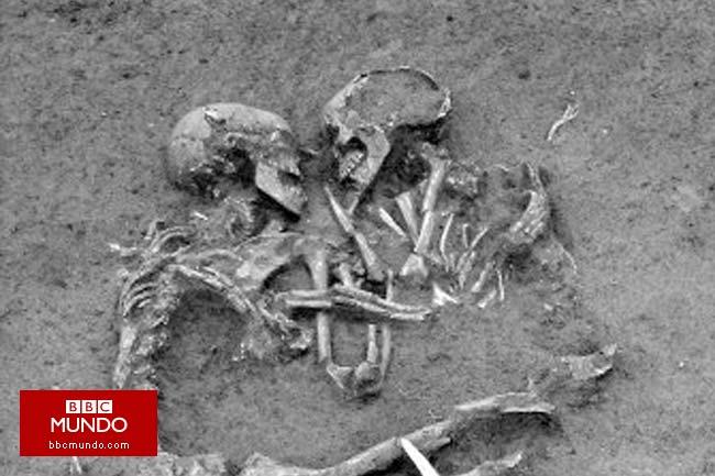 Descubren que el virus del sida existió en la prehistoria