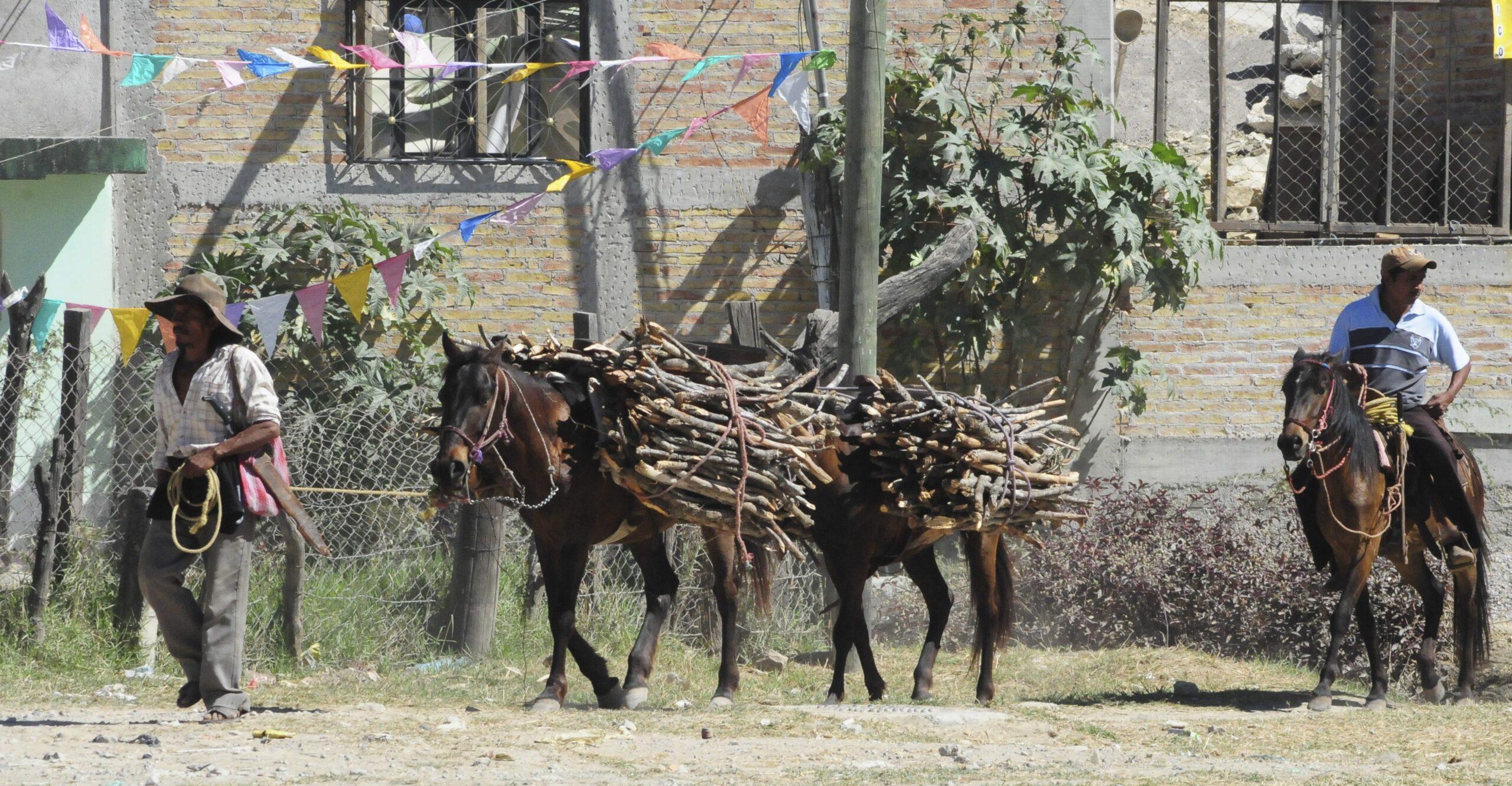 La Sagarpa de EPN no acreditó el destino final de subsidios por 42 mil 817 mdp: ASF