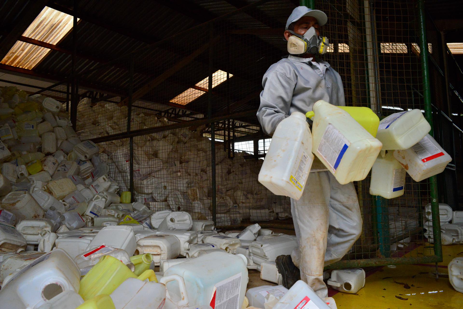 ¿Los pesticidas pueden ser la causa de casos de cáncer y malformación?