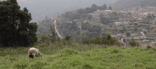 Filial de Grupo Higa construye autopista sobre una comunidad indígena