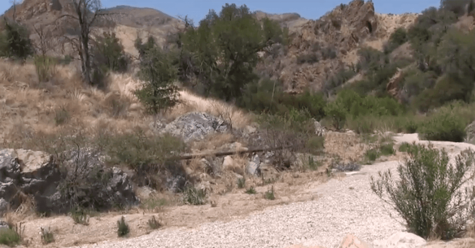 The wall within, el documental que muestra el sufrimiento de miles de migrantes en el desierto