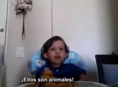 Un niño explica por qué no quiere comer animales