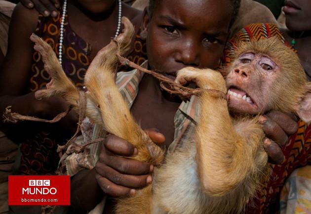 En fotos: las mejores imágenes de la naturaleza