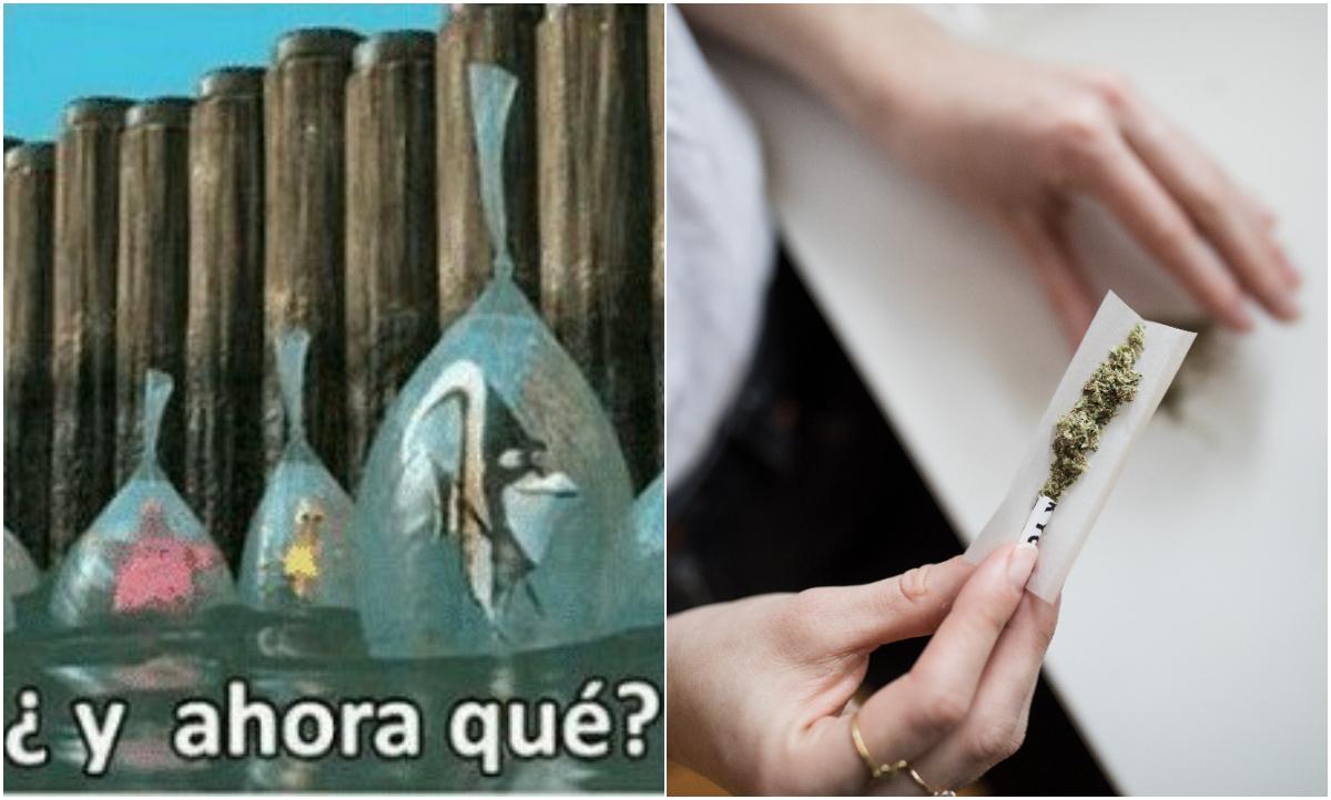Ájalas, mi Suprema Corte: claves para entender la *despenalización del uso lúdico de la marihuana*
