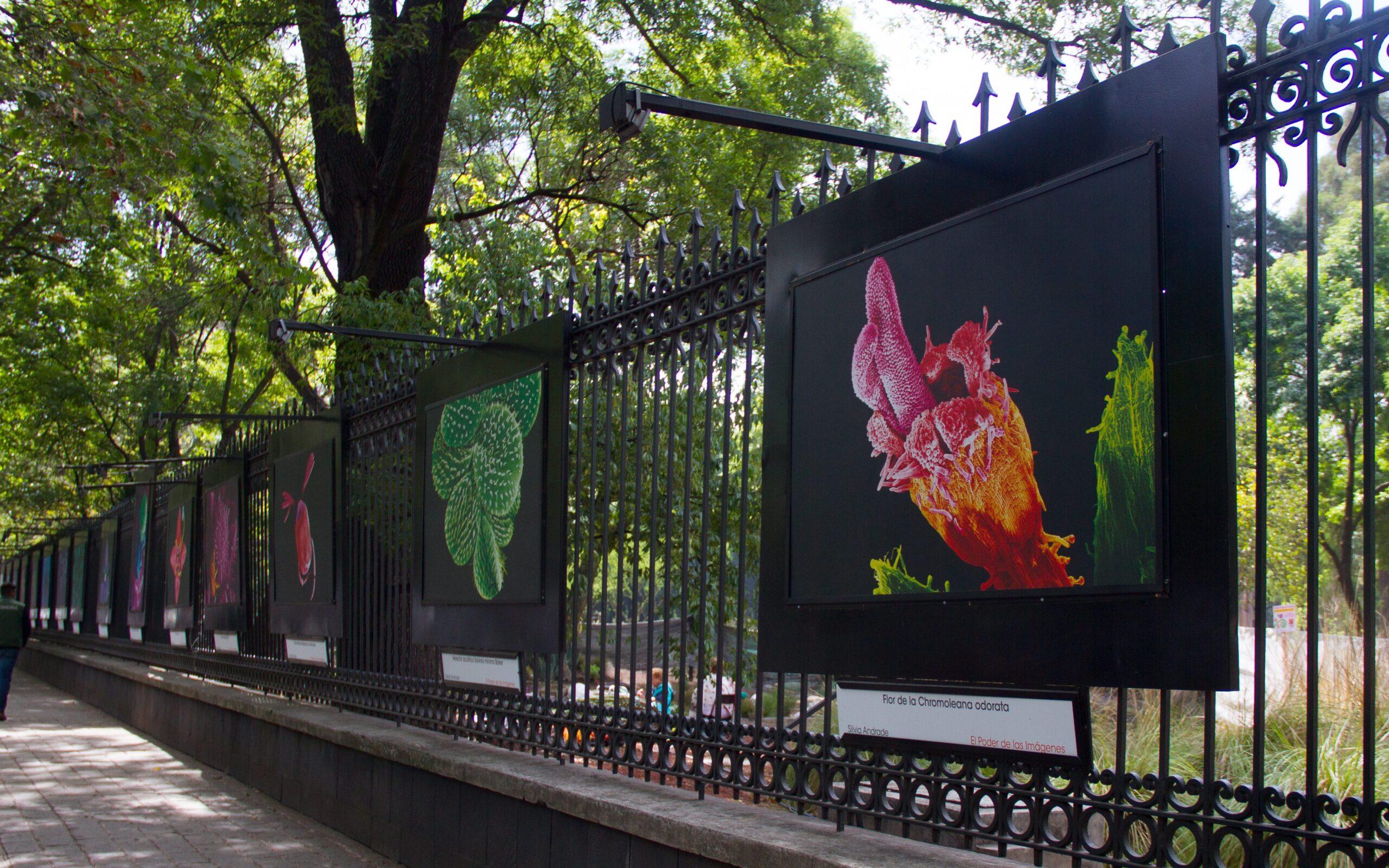 Música, museos, ciencia y diseño: las actividades culturales para este finde