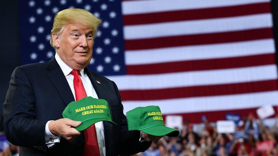 4 gráficos para entender las “guerras comerciales” de Trump en el mundo (y qué países son los más afectados)